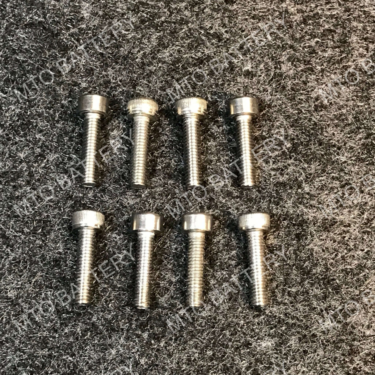 Stainless Steel Segway NiMH Battery Screws