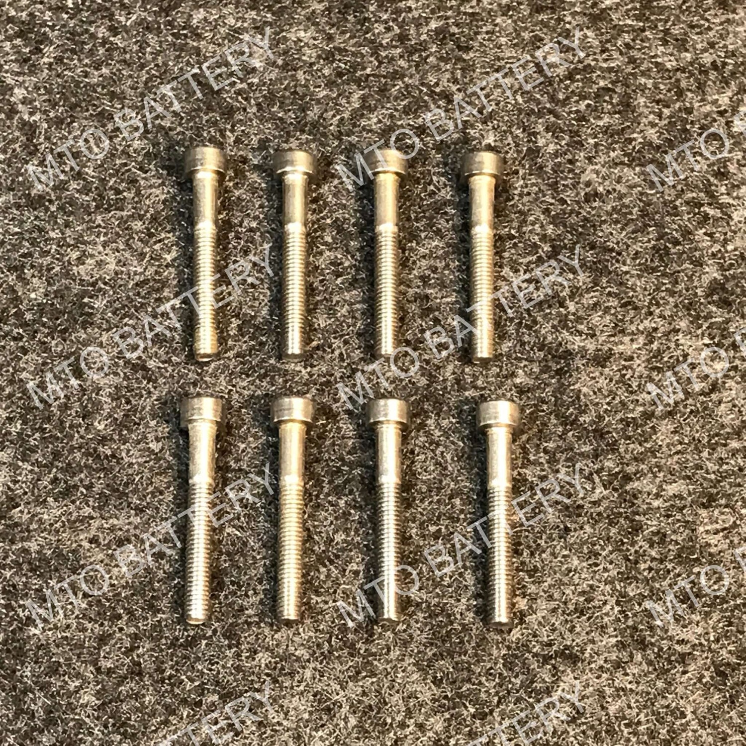 Stainless Steel Segway Lithium Battery Screws