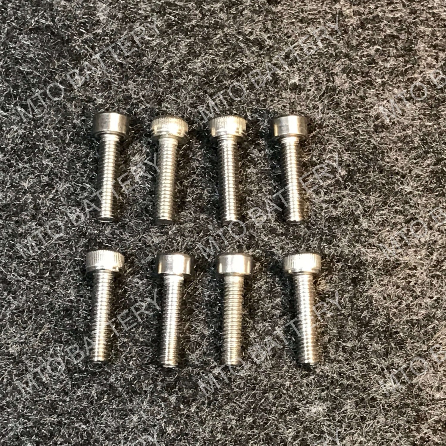 Stainless Steel Segway NiMH Battery Screws